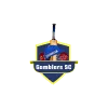 team image