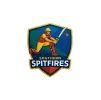 SSP flag
