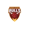 Bundelkhand Bulls