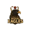 Team flag