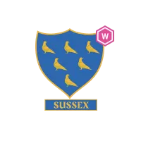 Team flag