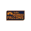 SoBo Mumbai Falcons flag