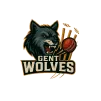 Team flag