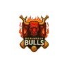 Team flag