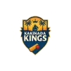 Team flag
