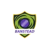 Team flag