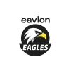 Team flag