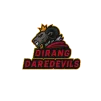 team image