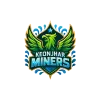 team flag