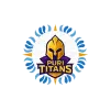 team flag