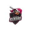 team flag