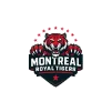 team flag