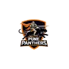 Pune Panthers