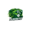 team flag
