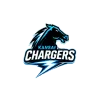 team flag