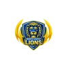 team flag