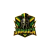 team flag