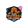 team flag