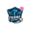 team flag