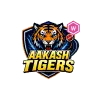 team flag