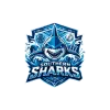 Southern Sharks flag