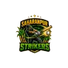 Saharanpur Strikers flag