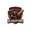 Ghaziabad Gladiators flag