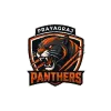 Prayagraj Panthers flag