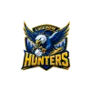Lucknow Hunters flag