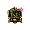 team flag