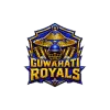 team flag