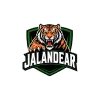 team flag