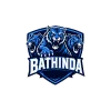team flag