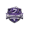 Hobart Hurricanes Academy flag
