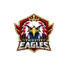 Team flag