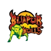 Bijapur Bulls