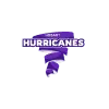 Team flag