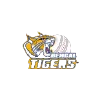 Bengal Tigers