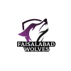 Faisalabad Wolves