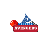 Pokhara Avengers