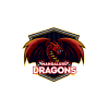 Mangaluru Dragons