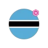 Team flag
