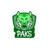 team image