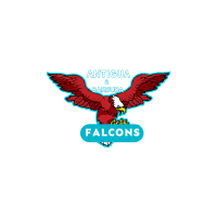 Antigua & Barbuda Falcons