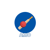 Amo Region flag