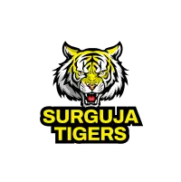 Team flag