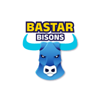 Bastar Bisons flag