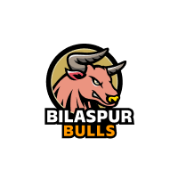 Bilaspur Bulls flag