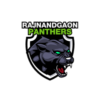 Rajnandgaon Panthers flag