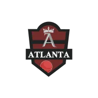 Atlanta Kings flag